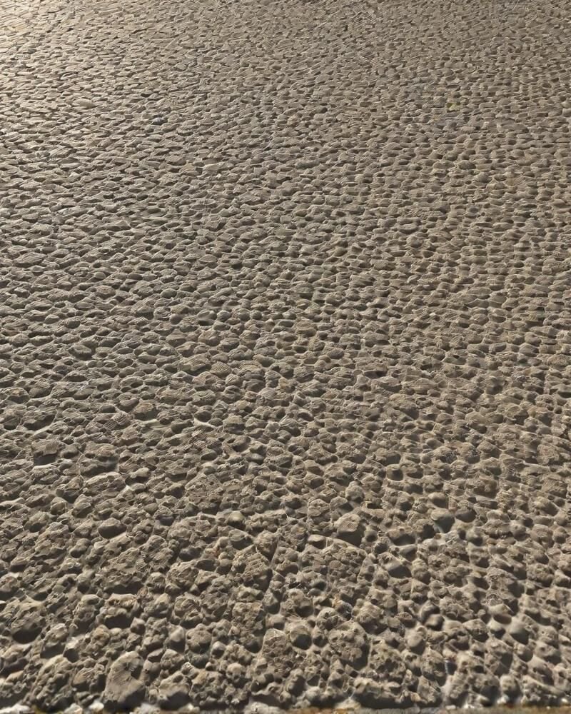 800x1066